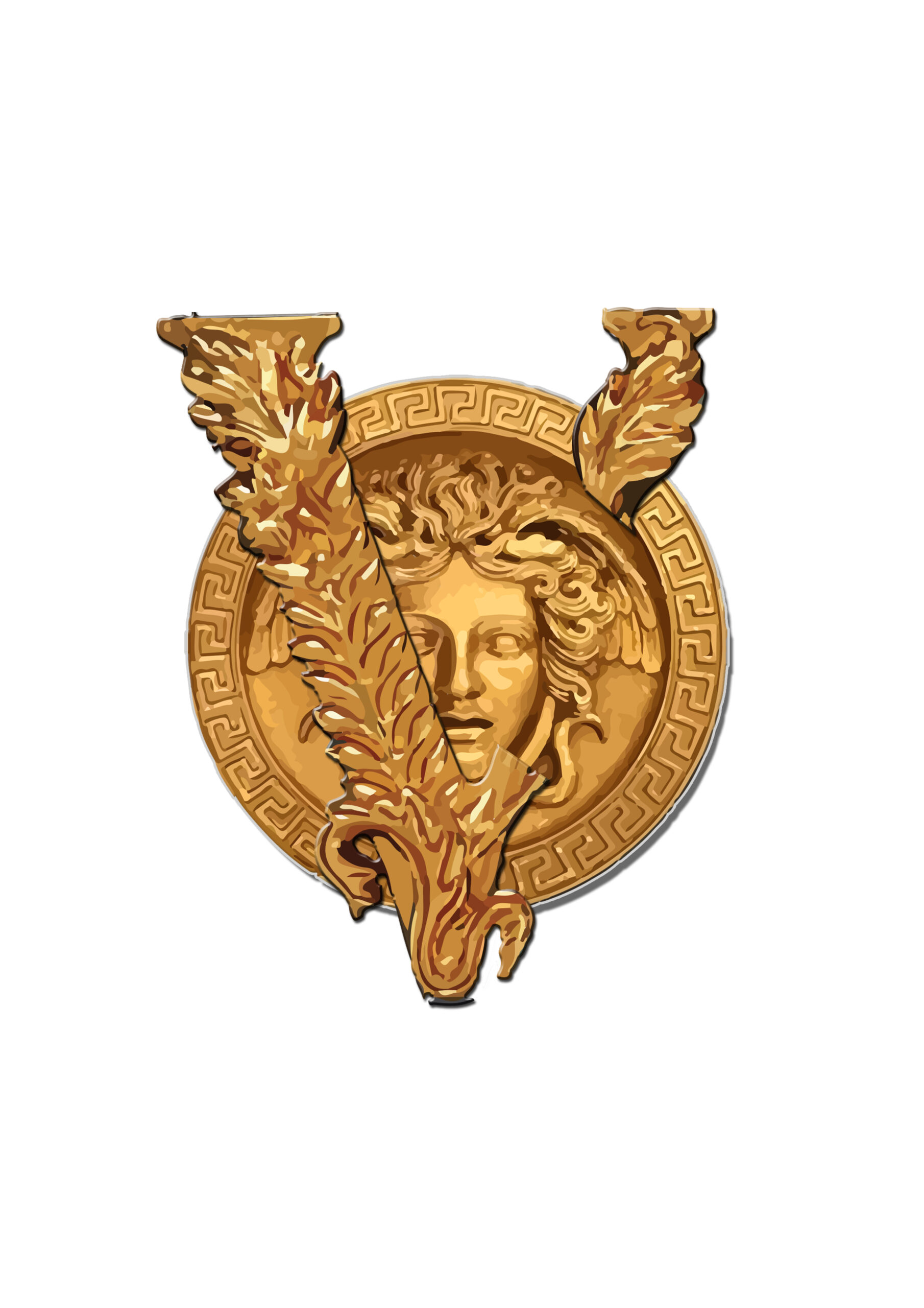 VMEDUSA